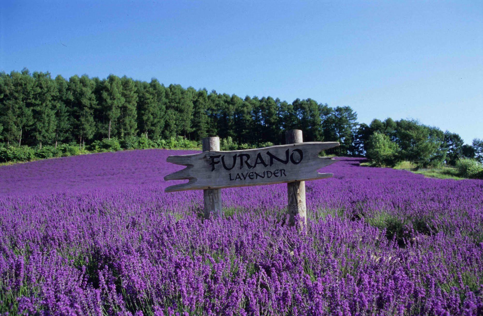 Bed & Breakfast Lavender 2*