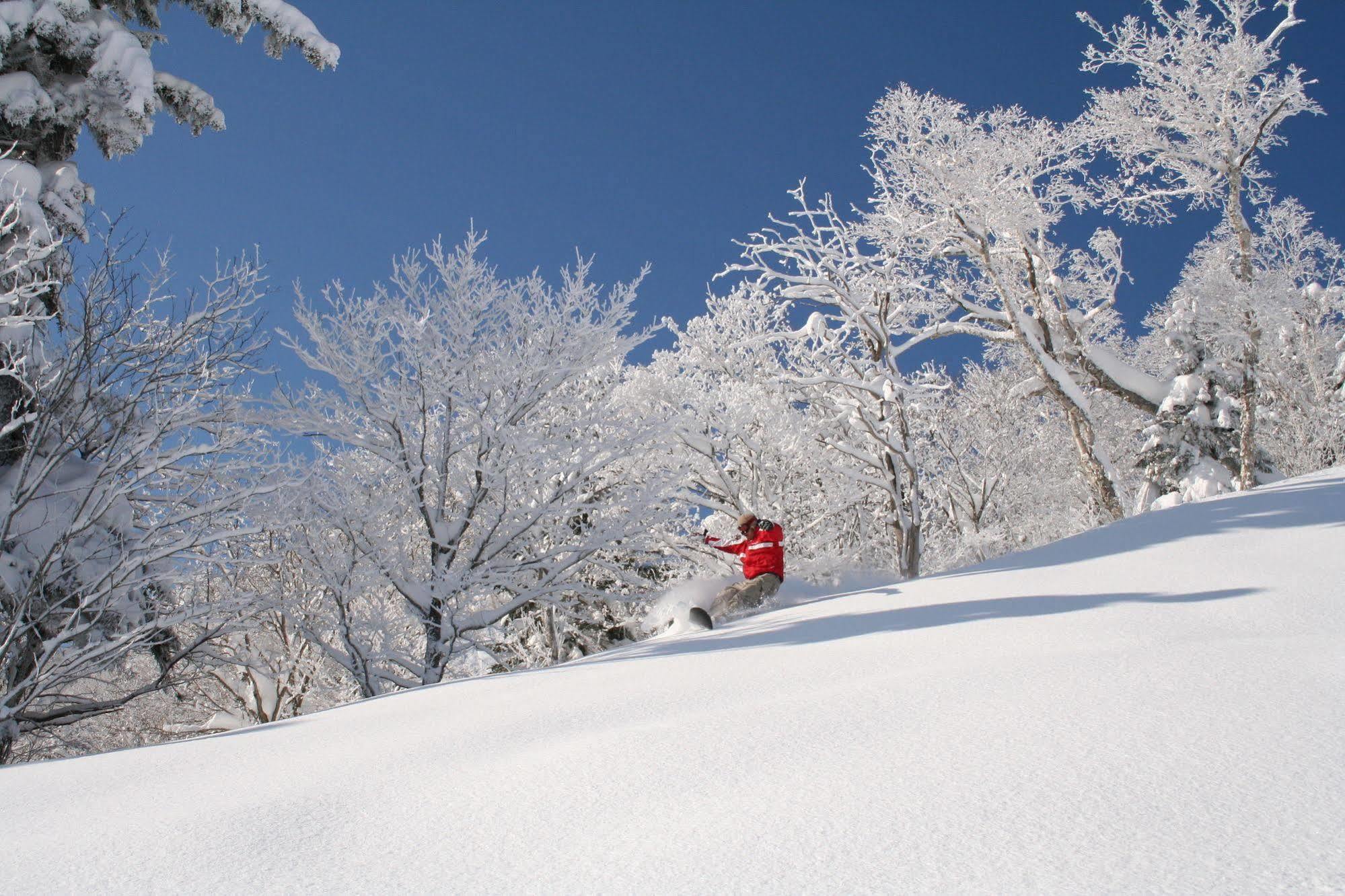 Lavender 2* Furano